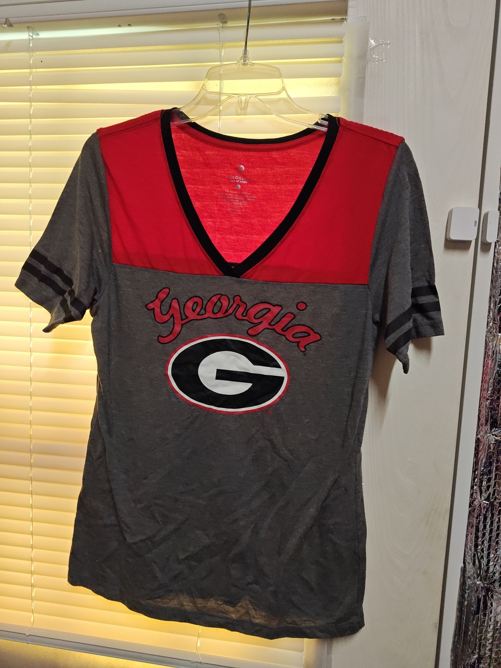 Colosseum Georgia V-Neck Red and Gray Fan Tee